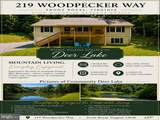 219 Woodpecker Way - Photo 4