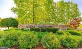 3417 Aquia Drive - Photo 46