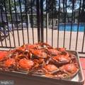 580 Icehouse Cove Ln - Photo 3