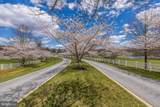 3082 Ballesteras Court - Photo 96