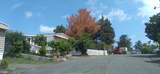 1800 Bel Air Road - Photo 16