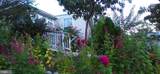 1800 Bel Air Road - Photo 18