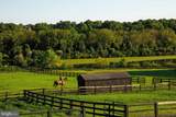 15158 Berlin Turnpike - Photo 45