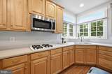 42831 Delphinium Circle - Photo 17