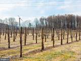4500 Winery Lane - Photo 52