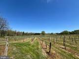 4500 Winery Lane - Photo 53