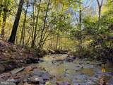 243 Aaron Mountain Road - Photo 48