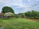13605 Martin Road - Photo 18
