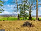 16650 Toms Creek Church Road - Photo 54