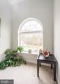 204 Remi Drive - Photo 49