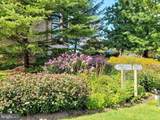 5902 Mount Eagle Drive - Photo 37