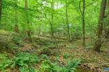 1816 Davis Shop Rd - Photo 69