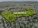 2429 Posey Hollow Road - Photo 1