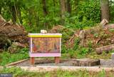 14070 Mckinley Lane - Photo 75