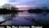 11778 Old Skipton Road - Photo 38