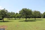 13467 Ellis Way - Photo 74
