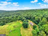 241 Tobias Drive - Photo 34