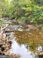  Tiger Valley Road - Photo 4