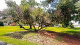 201 Buena Vista Avenue - Photo 16