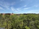 4201 Cathedral Avenue - Photo 3
