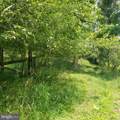  Wes Mountain Trail - Photo 22