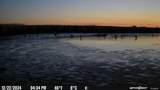 3241 Robbins Road - Photo 44