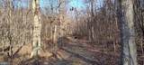 1339 Spruce Hill Road - Photo 67
