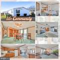 362 Cedar Street - Photo 1