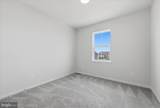 50 Feldberg Drive - Photo 28