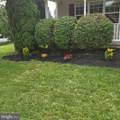 214 Chestnut Avenue - Photo 5