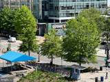 430 M Street - Photo 11