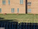212 New Avenue - Photo 48