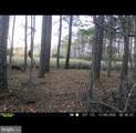 2839 Lakesville Crapo Road - Photo 10