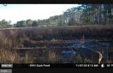 2839 Lakesville Crapo Road - Photo 12