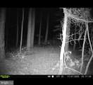 2839 Lakesville Crapo Road - Photo 15