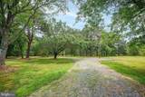 4004 Robinson Neck Road - Photo 76
