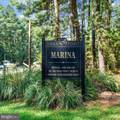11565 Magnolia Court - Photo 65