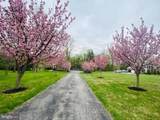 13215 Falls Road - Photo 38