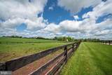 1384 Bon Ox Road - Photo 15