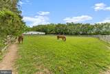 11605 Parkgate Drive - Photo 61
