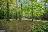 15295 Todd Lane - Photo 14