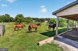 3160 Sumantown Road - Photo 109