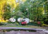 300 Stonehurst Road - Photo 58