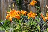 13803 Knowles Street - Photo 37