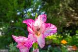 13803 Knowles Street - Photo 38