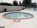 115 Kings Highway - Photo 15