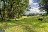 5352 Dixons Mill Road - Photo 54
