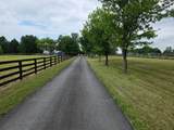 12051 Mountain Watch Court - Photo 16