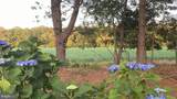 26423 Creekwood Circle - Photo 43