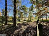 317 Coles Point Road - Photo 131